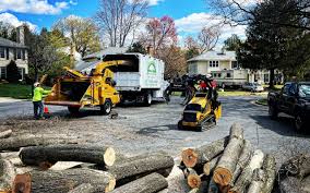 Best Landscape Design and Installation  in Merchantville, NJ